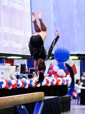 HSM_1199