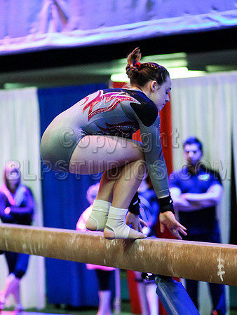HSM_1522