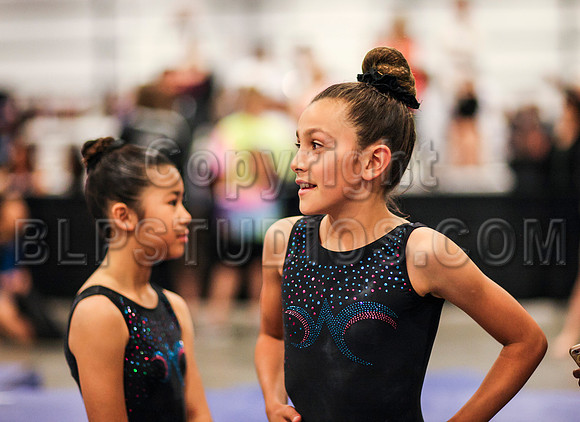 HSM_1297