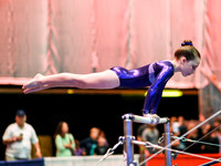 HSM_4547