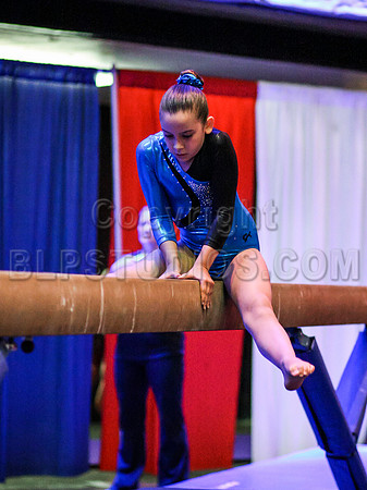 HSM_4331