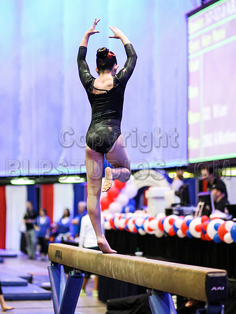 HSM_1037