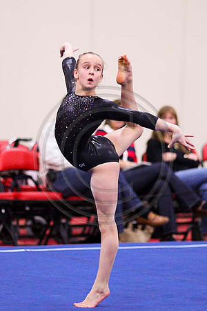TAZ20102