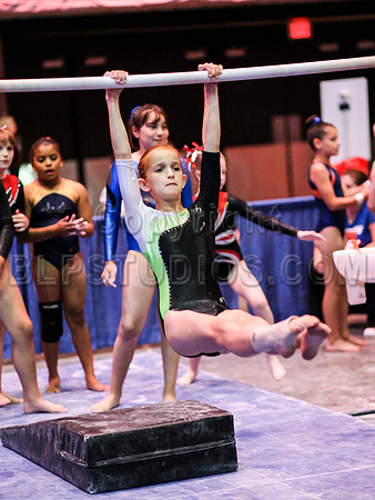 HSM_2781