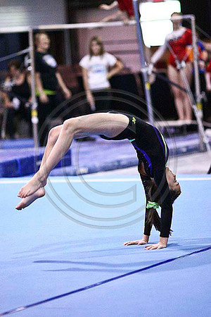 HSM_4334
