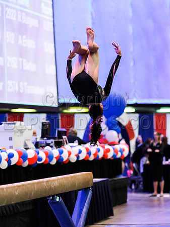 HSM_1039