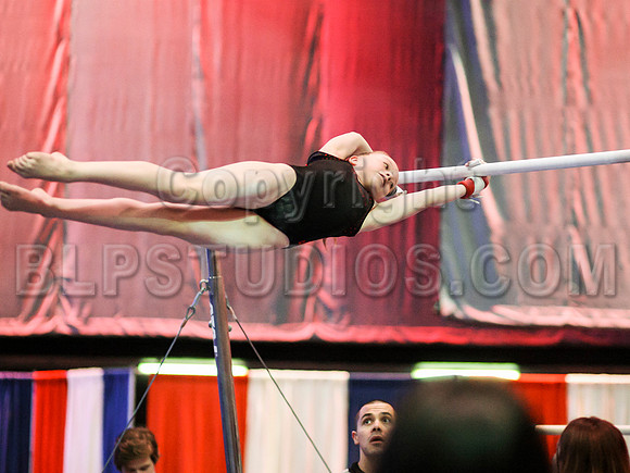 HSM_1203