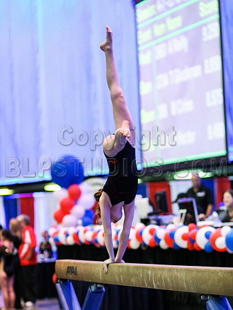 HSM_0199
