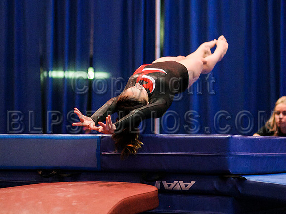 HSM_0397