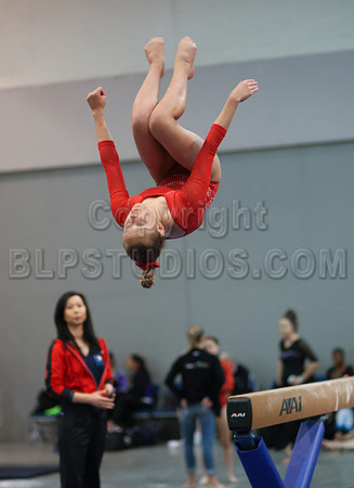 HSM_4379