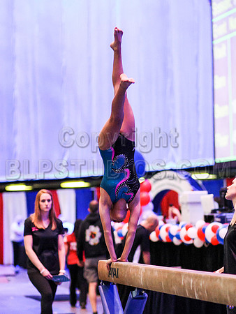 HSM_8537