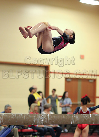 HSM_3667