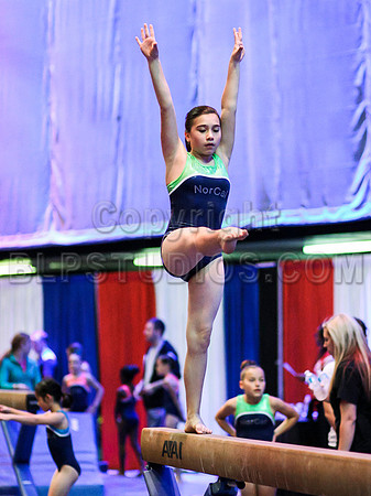 HSM_1706