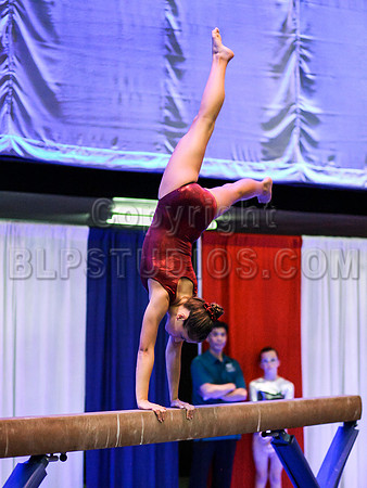 HSM_0366