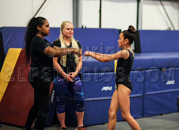 HSM_0217