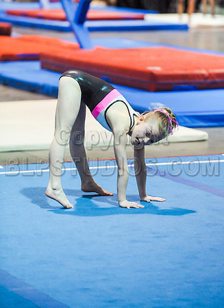BEC_0118
