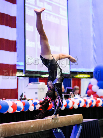 HSM_1196