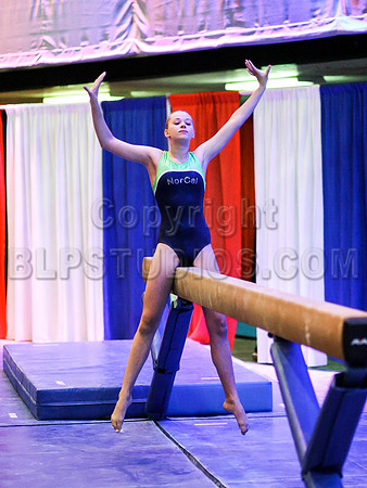 HSM_2011