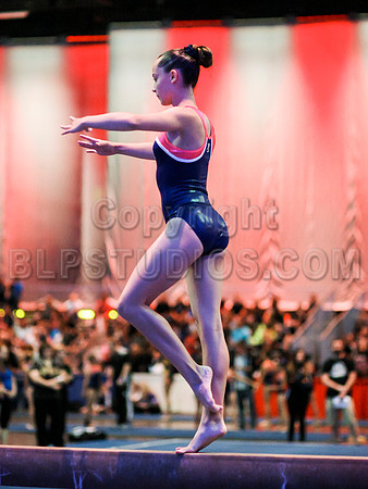HSM_1180