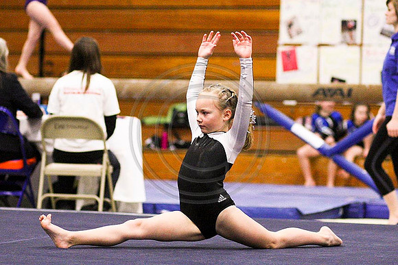 TAZ23889