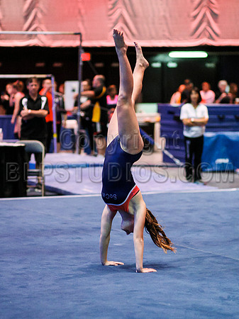 HSM_2931