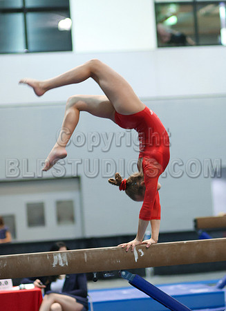 HSM_4634
