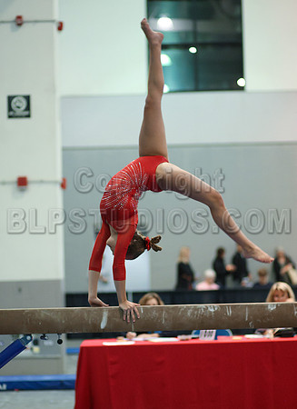 HSM_4612