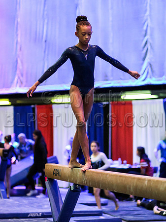 HSM_2646