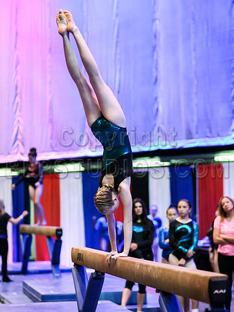 HSM_0688