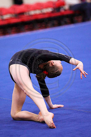 TAZ20085