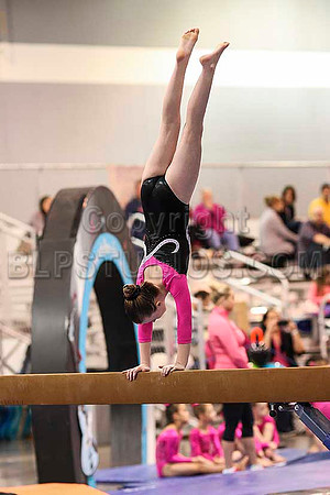 HSM_3295