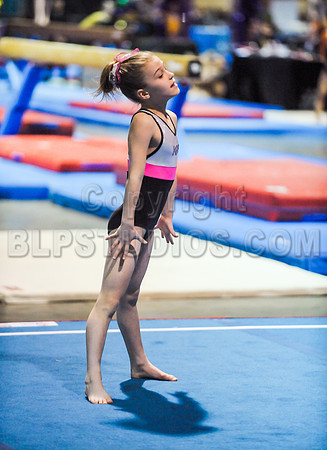 BEC_0129