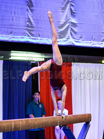 HSM_0383