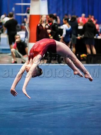 HSM_0720