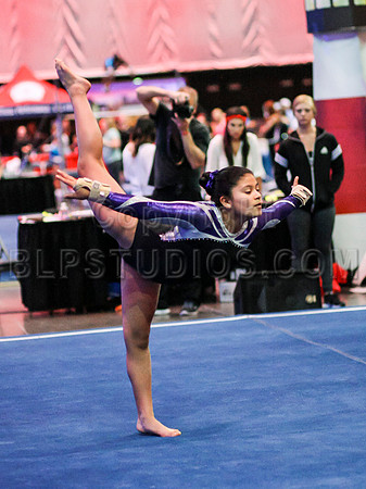 HSM_0982