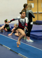 HSM_4652