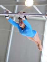 A49Y0051
