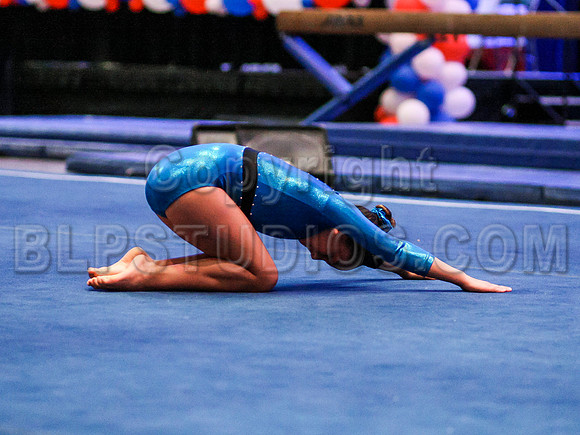 HSM_4919