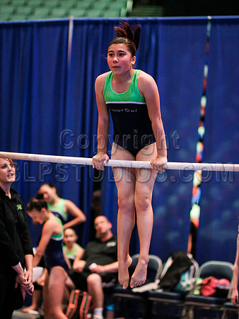 HSM_1196