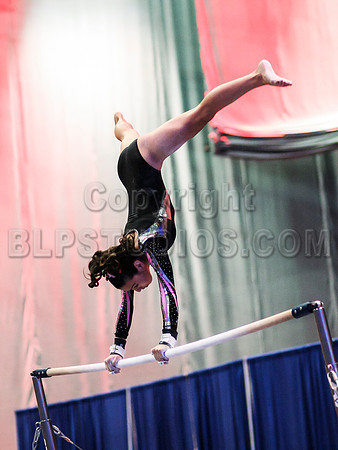 HSM_0387