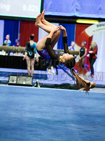 HSM_0679