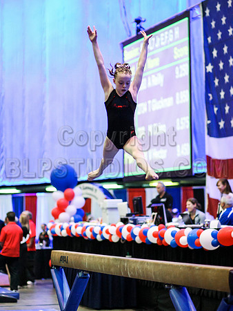 HSM_0184