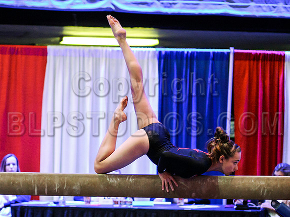 HSM_0872