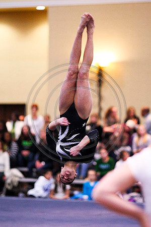 TAZ20075