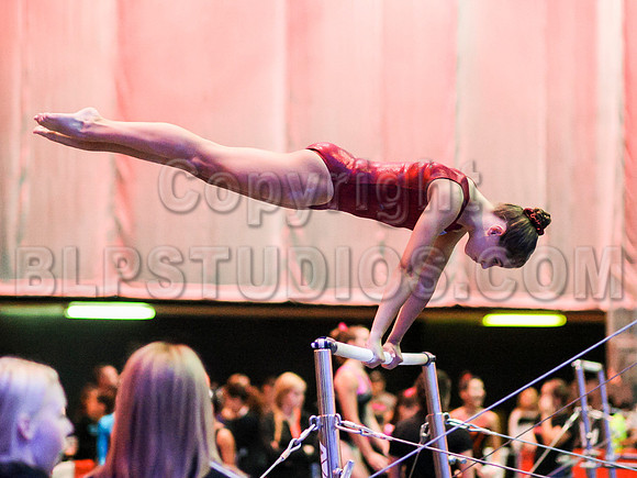 HSM_0082