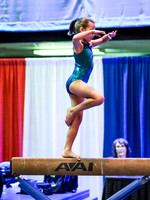 HSM_4411