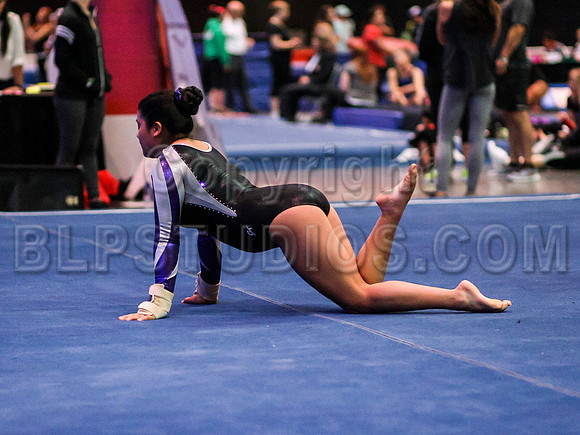 HSM_0997