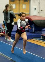 HSM_4654