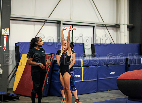 HSM_0206