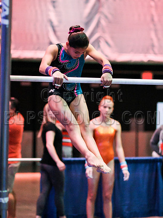 HSM_8184